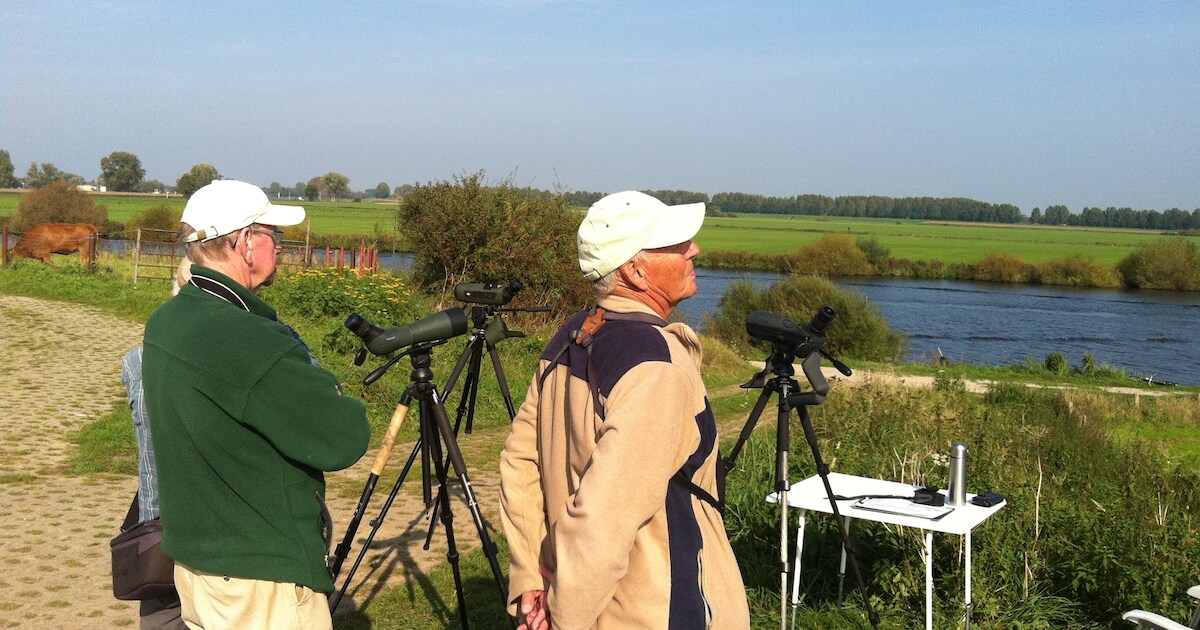 Trekvogels tellen aan de Maasdijk bij Macharen