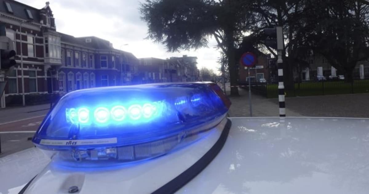 Man uit Haarsteeg mishandelt vriendin en bedreigt omwonenden