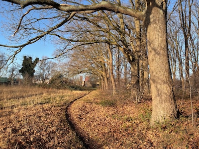 Nieuwbouw politiecomplex in Eindhoven stuit op historisch pad