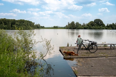 Met ‘belevingscentrum’ bij Noorderplas wil Tilburg meer volk naar landschap Pauwels trekken