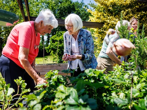 Onderzoek in Hilvarenbeek laat zien: dit zijn tips om mensen met dementie langer thuis te laten wonen
