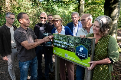 Sparrenburgbos in Rosmalen deels gered: buurtbewoners kunnen een stukje bos kopen