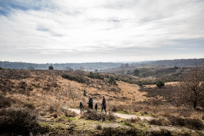 Steden bij kwetsbare natuur kampen met ‘dubbel zware positie’ door stikstof: roep om miljoenen van R