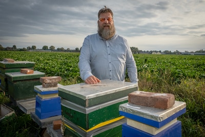 Imker Rob (58) uit Wanroij geniet van zijn werk: ‘Dynamiek van bijenvolk is fantas­tisch’