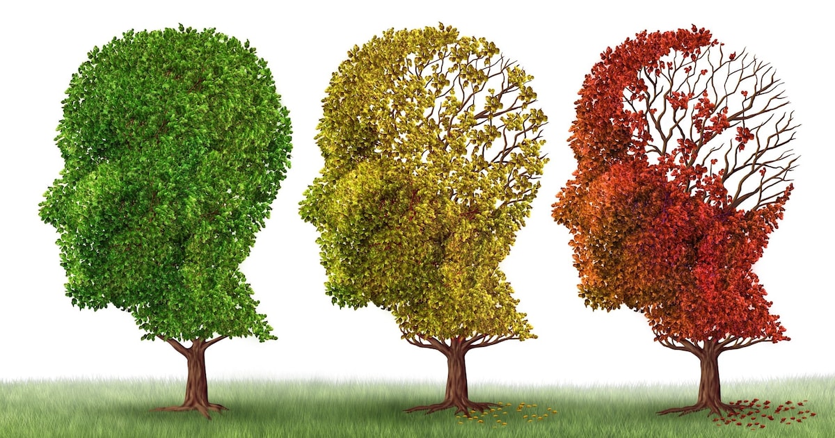 Alzheimer Café De Kempen in Eersel met aandacht voor mantelzorg en dementieervaringen
