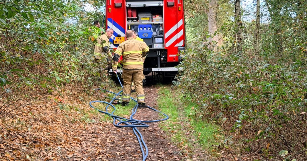 Brandweer moet kleine bosbrandjes blussen in Nistelrode | 112 nieuws Bernheze