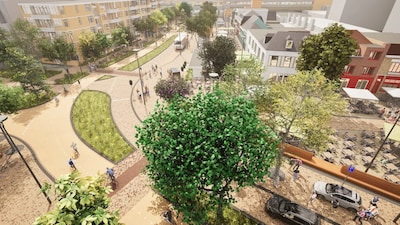 Waarom 76 gezonde bomen op de Cityring in Tilburg plaats moeten maken voor groene Parkring