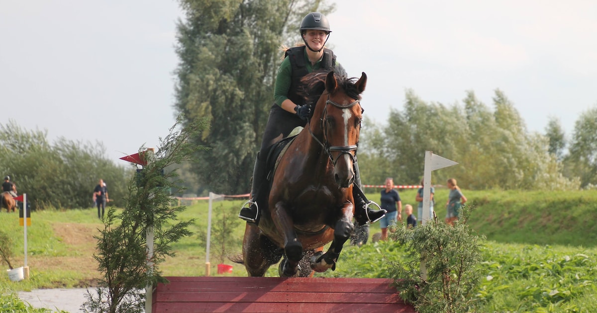 SGW West Betuwe biedt paardensport in Buurmalsen