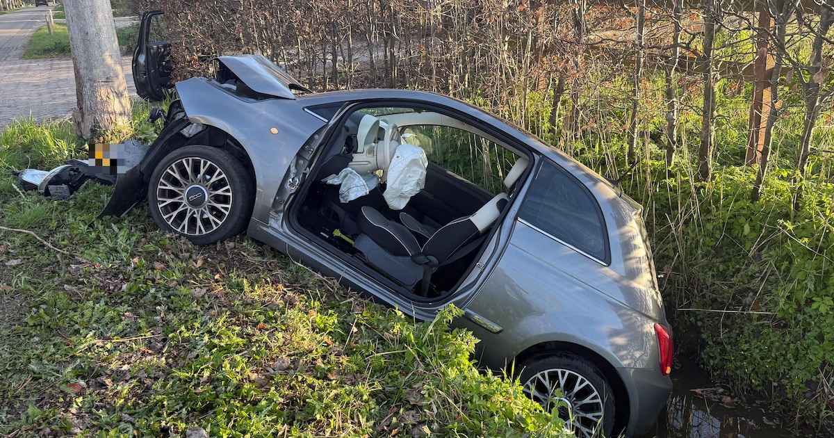 Auto rijdt tegen boom en komt half in sloot tot stilstand in Schijndel: vrouw gewond