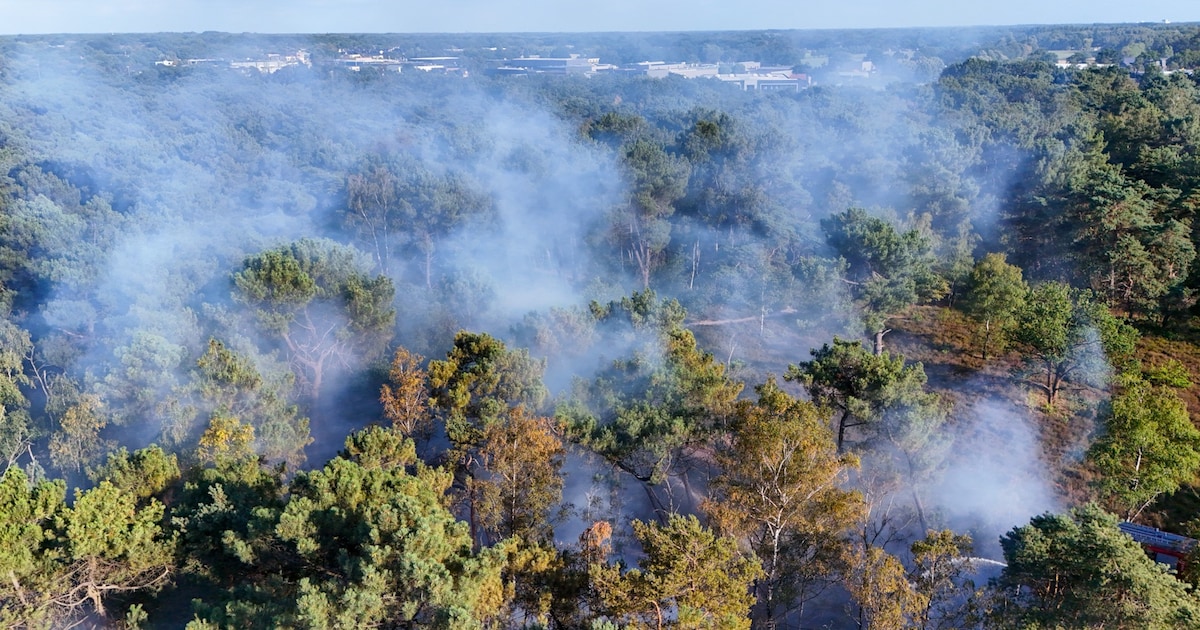 Grote natuurbrand in Geffen onder controle, nablussen zal nog enige tijd duren