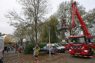 Brandweer redt kat uit boom in Waalwijk: kinderen op schoolplein juichen als kat weer op de grond staat