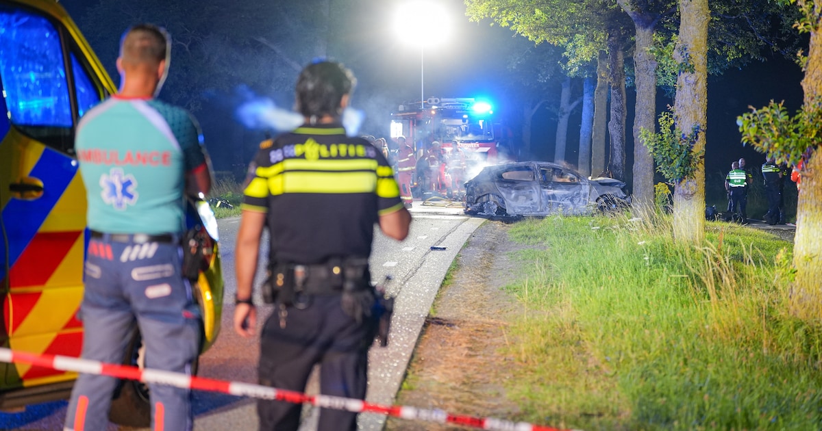 Meerdere doden nadat auto tegen boom botst en in brand vliegt in Groningse Den Ham
