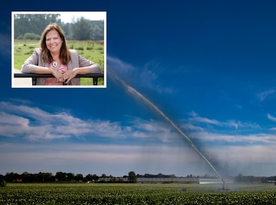 Brabant draait grondwaterkraan verder dicht om droogteschade te voorkomen