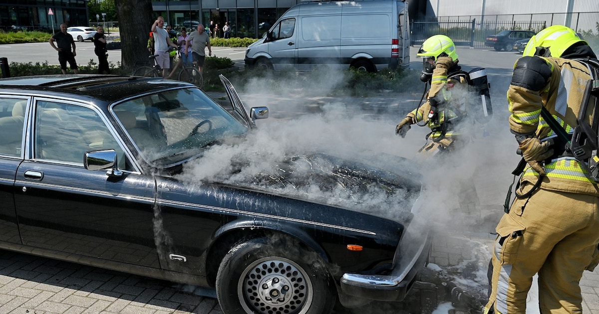 Jaguar van ruim 35 jaar oud vliegt in brand in Oisterwijk, omstanders grijpen in met brandblusser