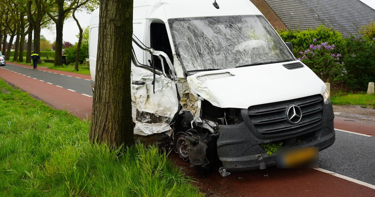 Bestelbus flink beschadigd bij botsing tegen boom in De Moer