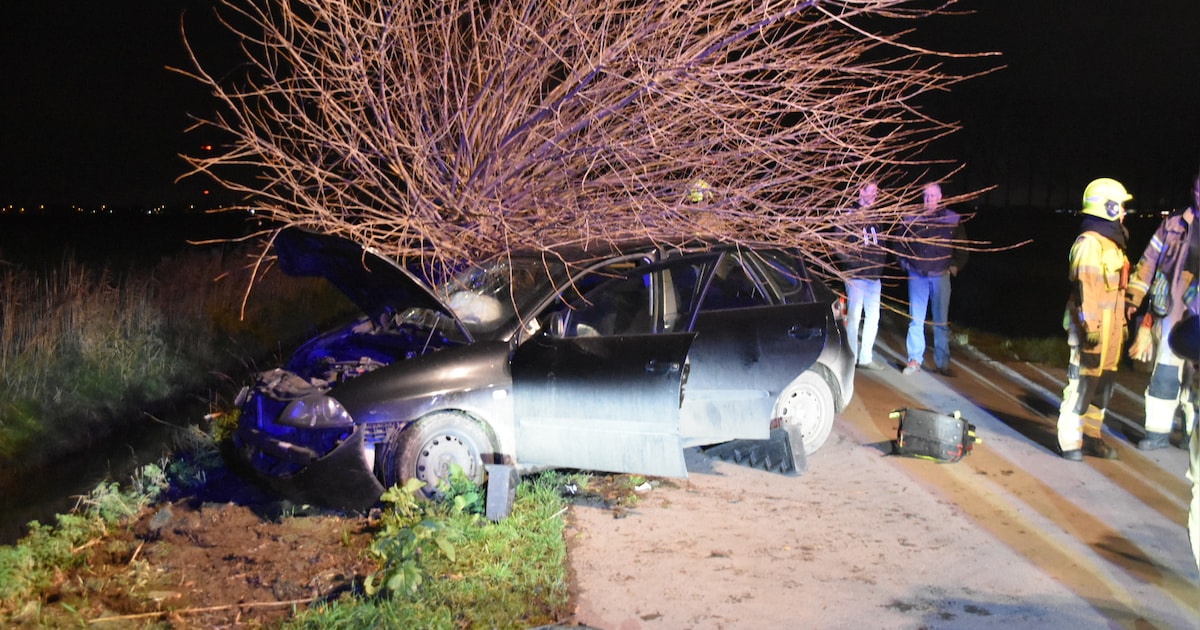 Man raakt gewond als hij met zijn auto tegen boom botst in Velddriel