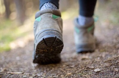 Hermode op bedevaart naar Ommel