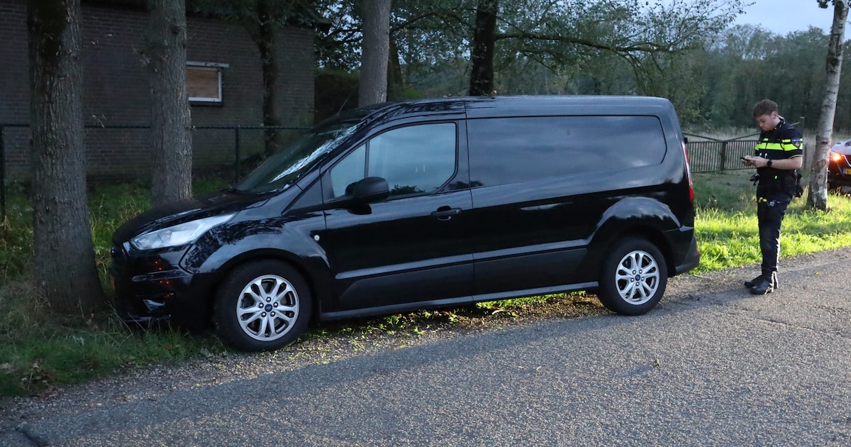 Bestelbus raakt van de weg en schampt boom in Uden