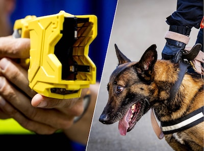 Trainer politiehonden veroordeeld, maar stroomhalsbanden zijn nog altijd gewoon te koop
