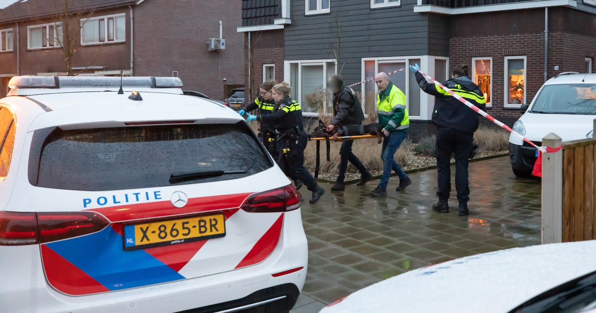 Hondengevecht loopt volledig uit de hand: eigenaar golden retriever ...