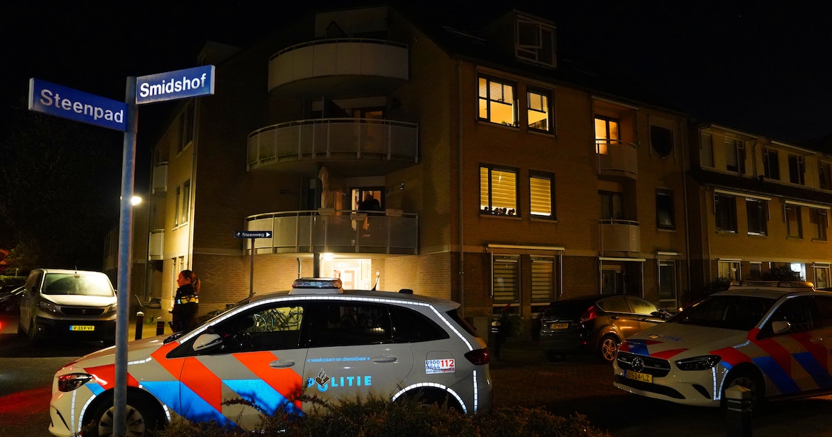 Man gewond na steekpartij in Vught, vrouw aangehouden