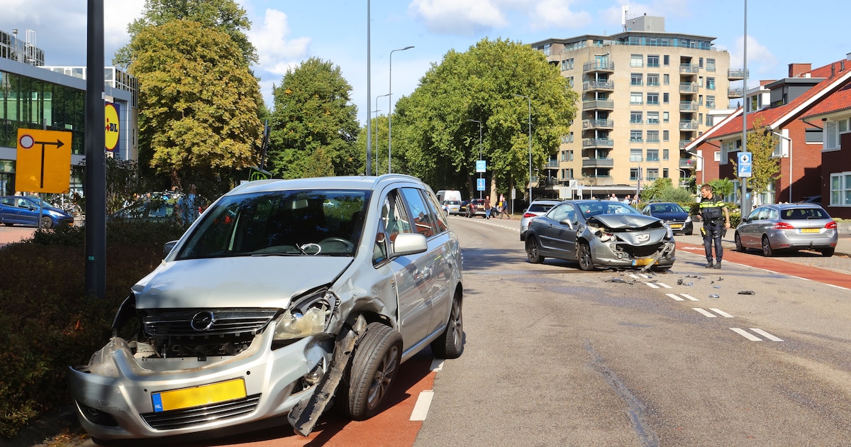 Oudere man op fiets overleden na zware botsing.