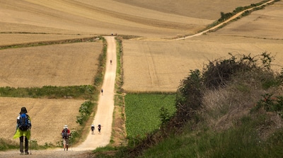 Eindhovenaar fietst 2100 km naar Santiago voor spierziekteonderzoek