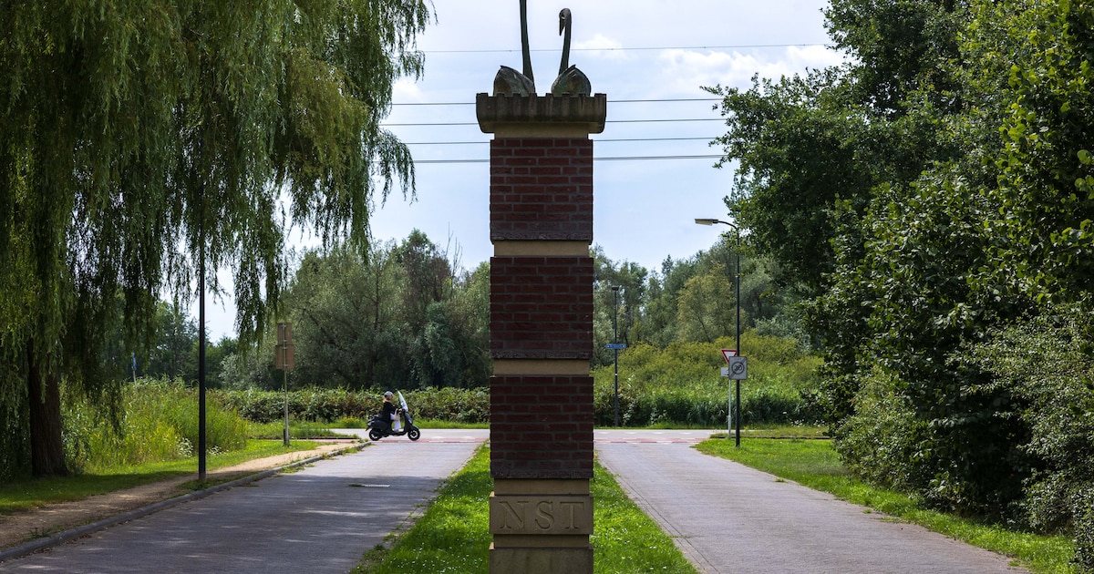 Pakketbezorger verantwoordelijk voor dodelijk ongeval bij de Haverlij