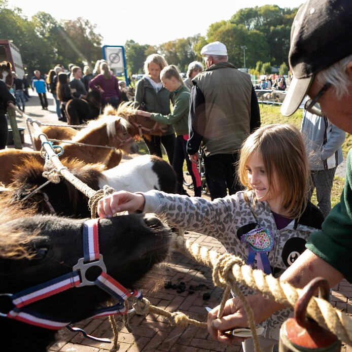 Een indruk van de Ponymarkt Brakel van 2018.