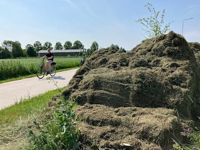 Meurende hoop maaiafval is dorpsbewoners een doorn in het oog: ‘Zeker als je daar druk bent geweest om te zaaien’