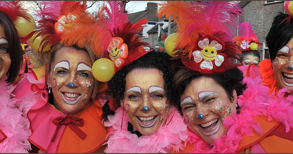 De smoel van carnaval: stuur jouw foto in! | Extra | BD.nl