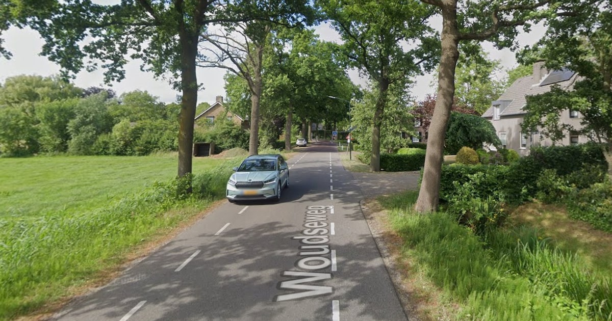 Oud-wethouder mag bouwen in Den Dungen, zijn broer is na elf rechtszaken nog niet klaar