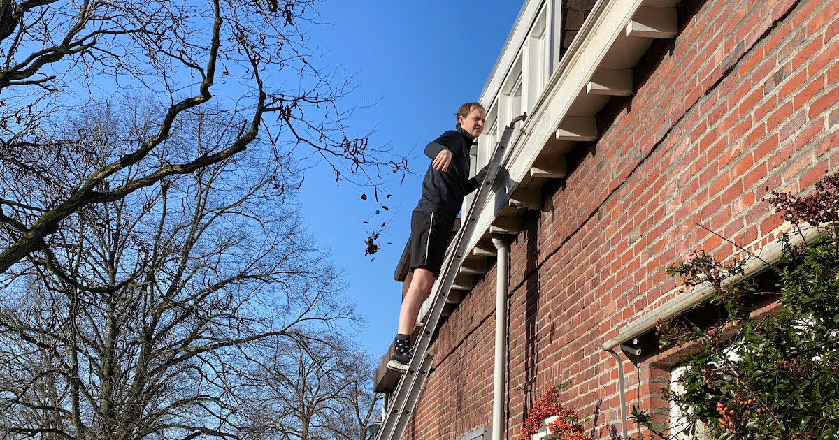 WOZ-waarde in Vught stijgt al drie jaar harder dan de huizenprijzen