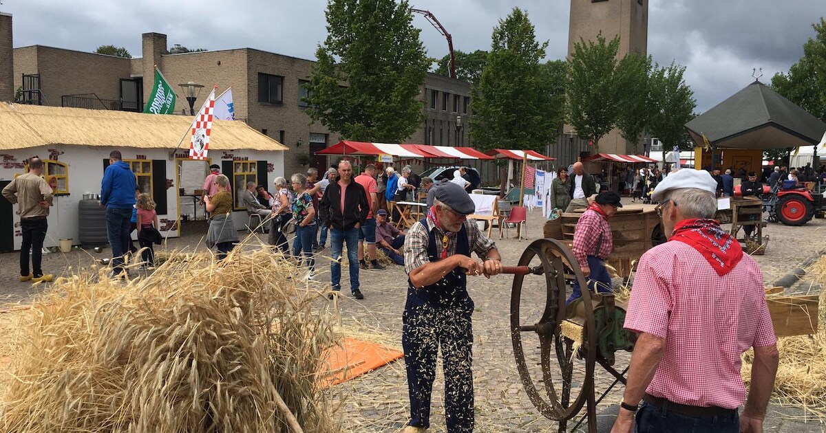 Schapendag Odiliapeel afgelast bij gebrek aan schapen en oude ambachten: ‘Jammer voor het dorp’