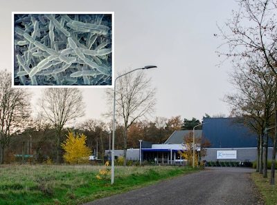 Legionella aangetroffen in Sportcentrum De Kemmer: ‘Geen direct gevaar voor gebruikers’