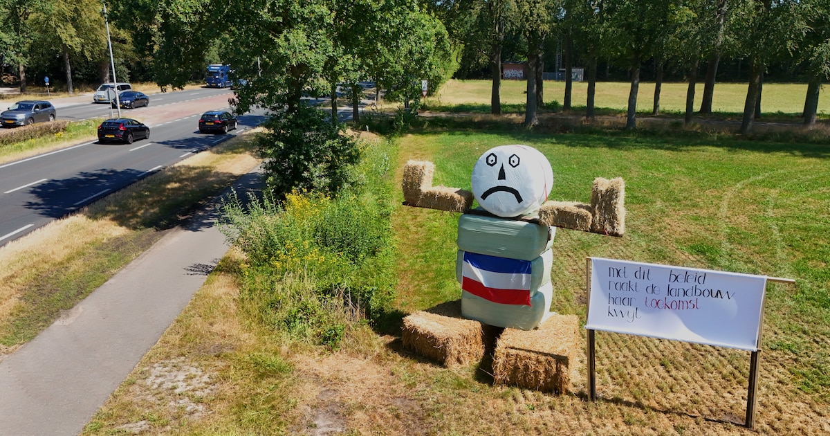Protesterende boeren zetten sippe stropop langs N65, ruim twee weken voor demonstratie in Den Bosch
