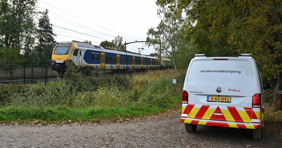 Geen treinen tussen Tilburg en Boxtel door overleden hond bij aanrijding.
