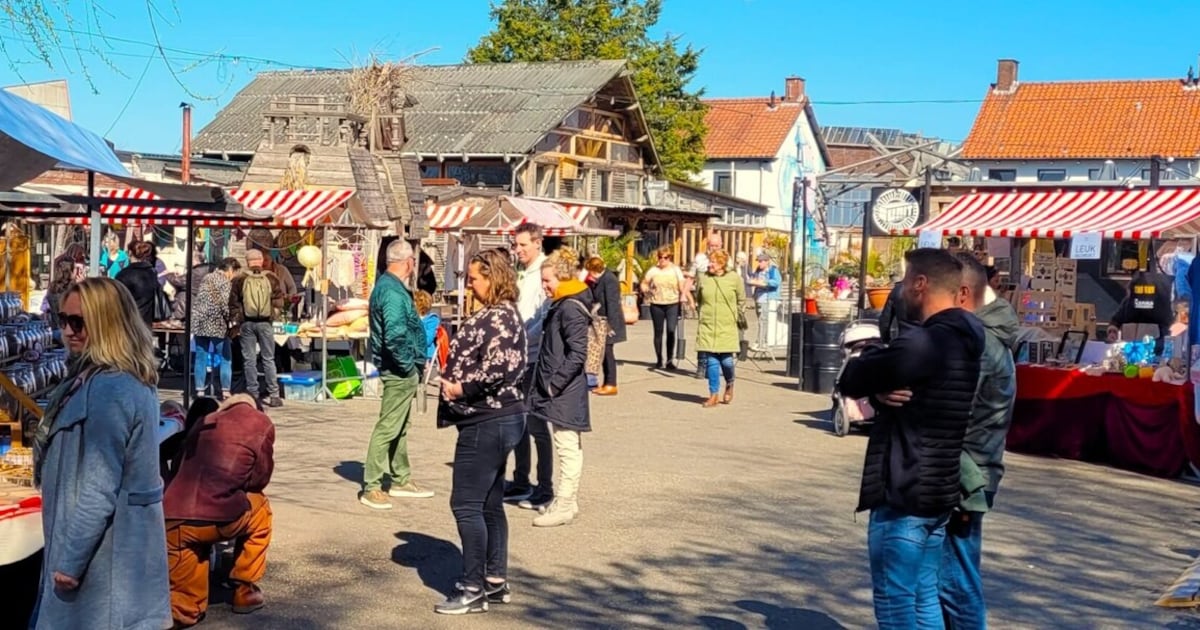 Zwoele Zomermarkt bij STEK Breda biedt markt, muziek en dans