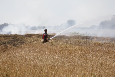 Veel rook bij brandende akker in Wouw