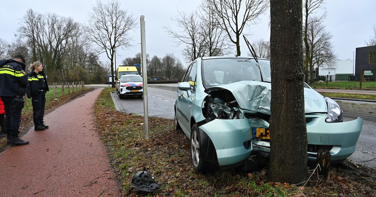 Automobilist raakt van de weg en botst tegen boom in Oisterwijk