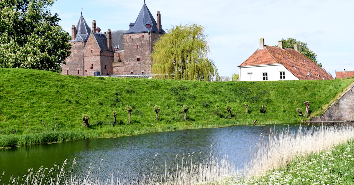 Struinen door de natuur van Munnikenland in de Bommelerwaard: excursies vanaf 22 juli