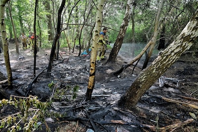 Kampvuur loopt uit de hand bij Berkel-Enschot: brandweer moet blussen, kamp met mogelijk gestolen fi