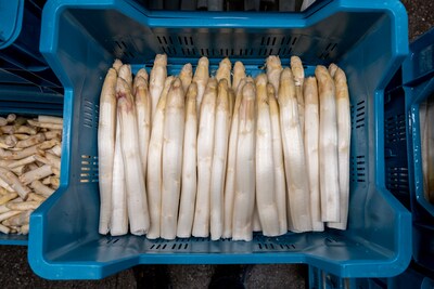 Voetballers Hoogeloon gaan de boer op met asperges