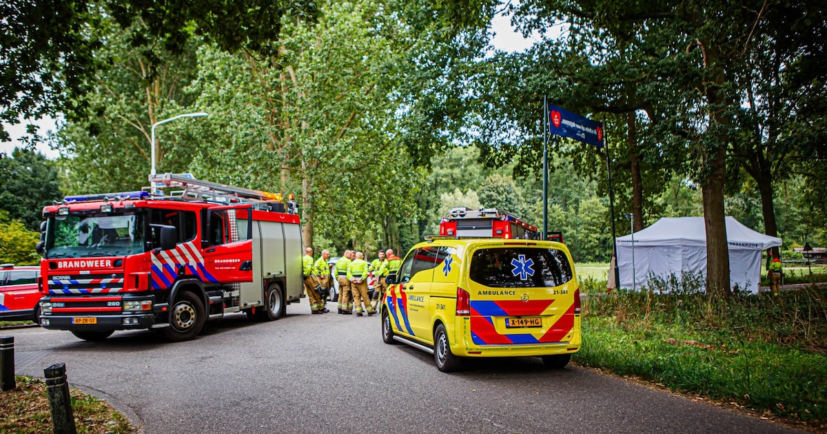 Automobilist overleden door botsing tegen boom in buitengebied Liempde.