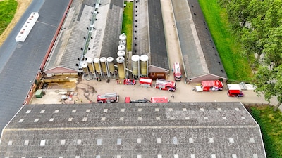 Brandweer uren bezig met redden van tientallen varkens uit p