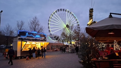 Kerstvibes! Neem een kijkje bij het Bosch Winters Paradepaardje in Den Bosch