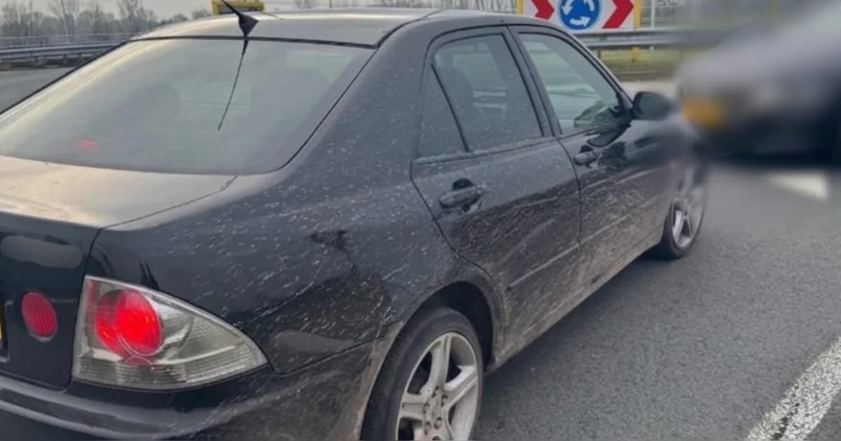Bestuurder uit Sint-Michielsgestel filmt levensgevaarlijke ritten en zet ze op Instagram: twee auto’