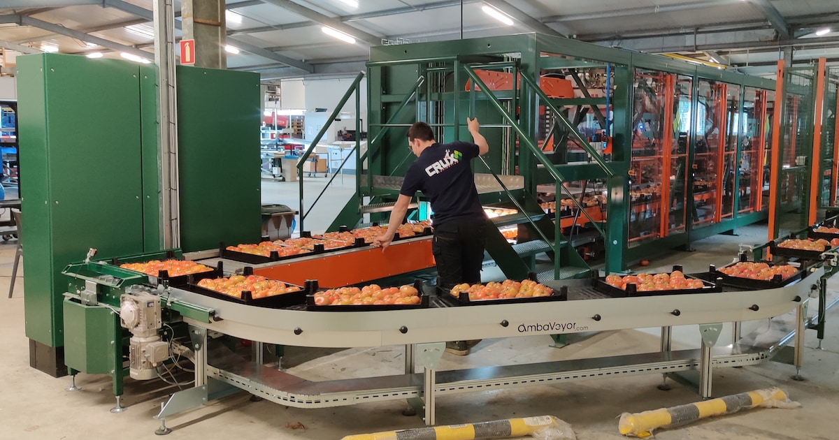 VDL koopt Eindhovense hightech sorteerder voor groenten en fruit ...