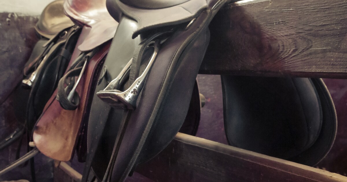 Stal Frontera in Ammerzoden wil wedstrijdhal bouwen | Maasdriel | BD.nl