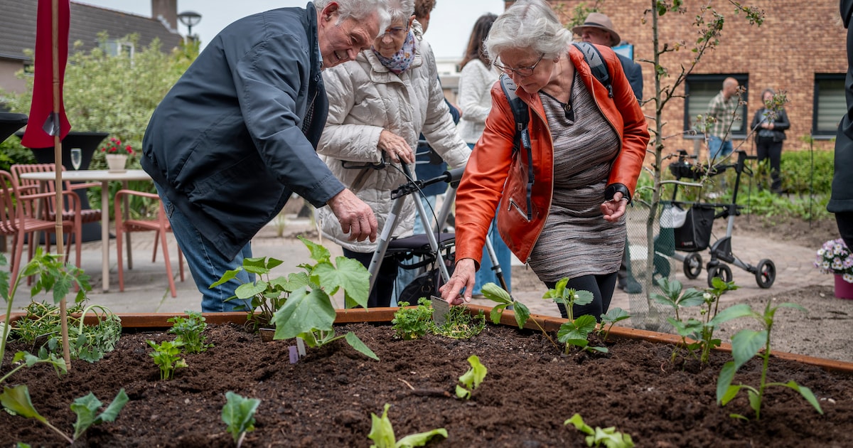Nieuwe beleeftuin bij Thebe Guldenakker in Goirle brengt ouderen en basisschoolkinderen samen: ‘De o